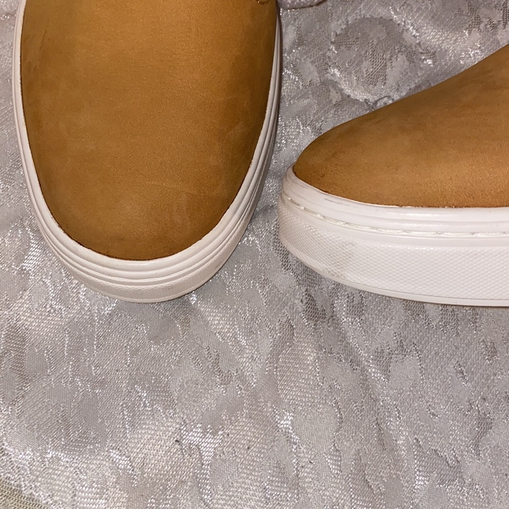 Timberlands - image 2